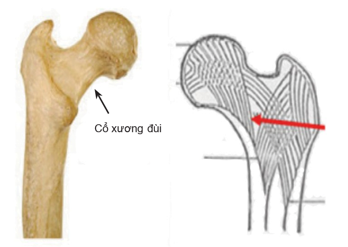 Diagram

Description automatically generated