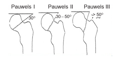 Diagram

Description automatically generated