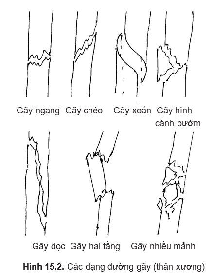 DiagramDescription automatically generated