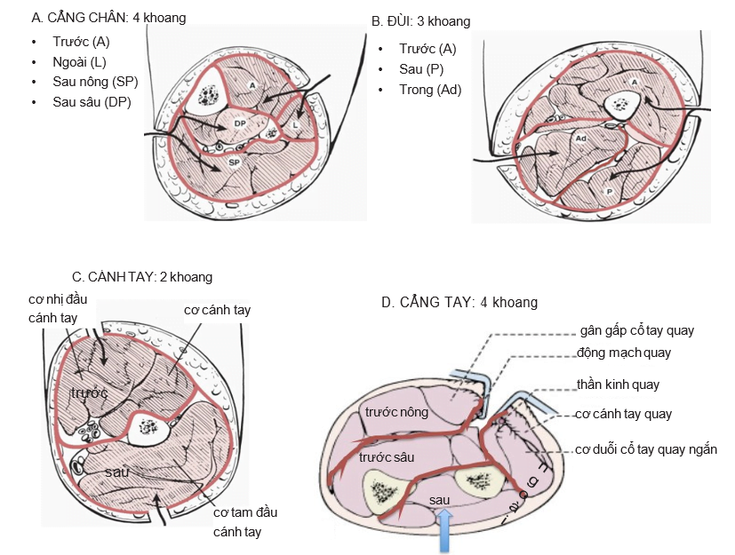 Diagram

Description automatically generated