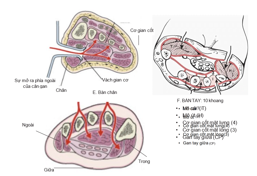 DiagramDescription automatically generated