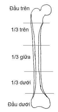 DiagramDescription automatically generated