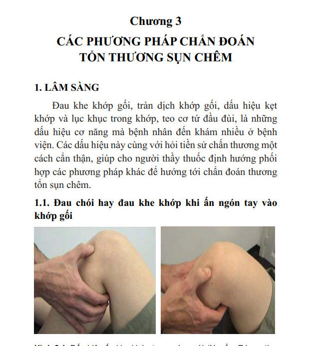 Chương 3 trong Sách Tổn thương sụn chêm: Chẩn đoán và Điều trị