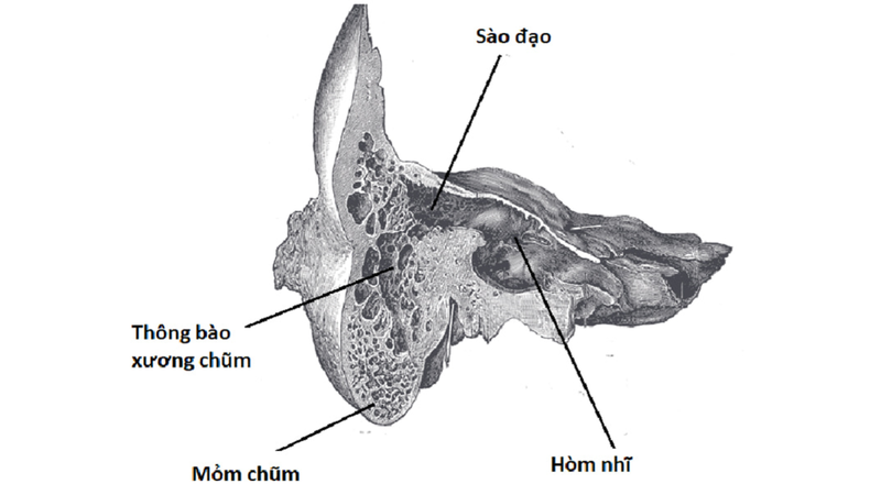 Xương Chũm 1